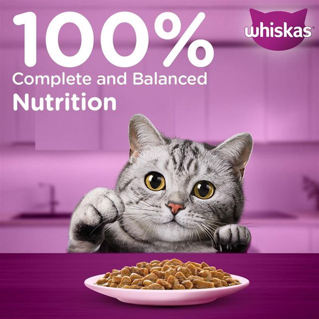 Whiskas Adult Salmon in Gravy Wet Cat Food, 80g,Pack of 2