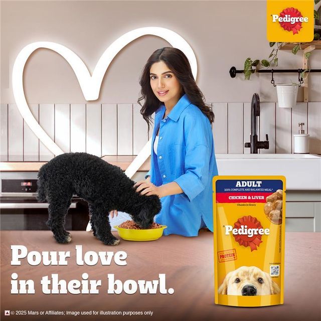 Pedigree Adult Chicken & Liver Chunks In Gravy Wet Dog Food