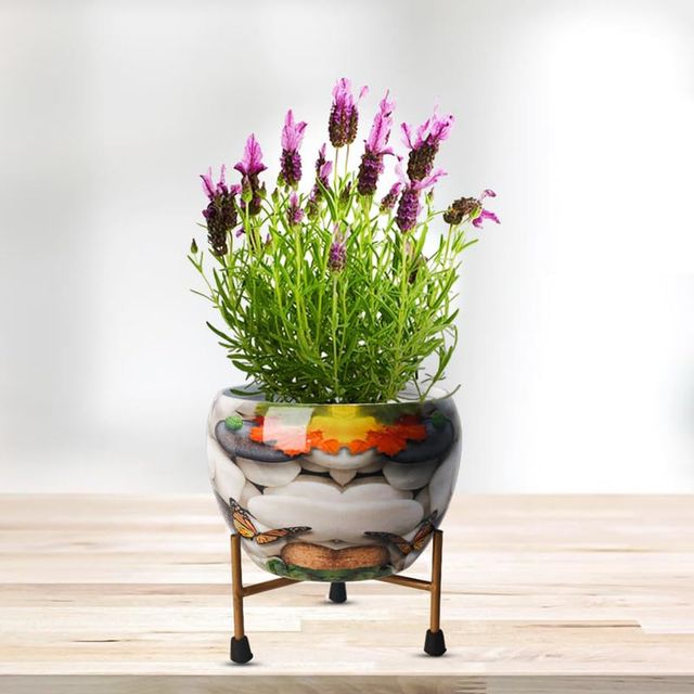 Buy Peng Essentials Reva Home Decor Vase With Stand I Desktop, Bedroom ...