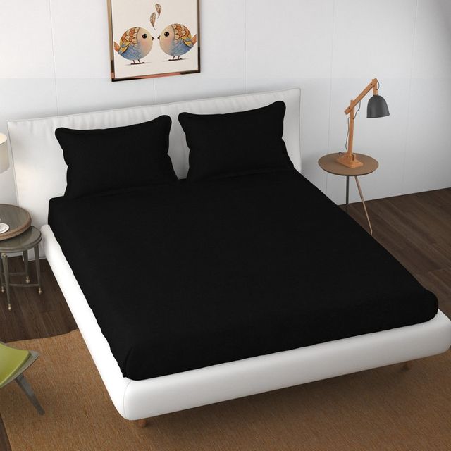 Florida Shades Cotton Elastic Fitted King Size Bedsheet for Double Bed with 2 Pillow Covers 300-TC