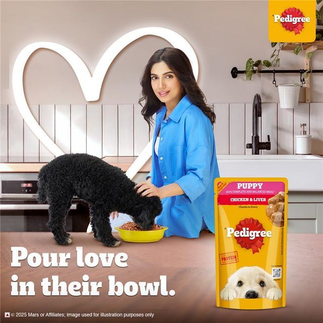 Pedigree Puppy Chicken & Liver Chunks In Gravy Wet Dog Food, 130g, Pack of 3