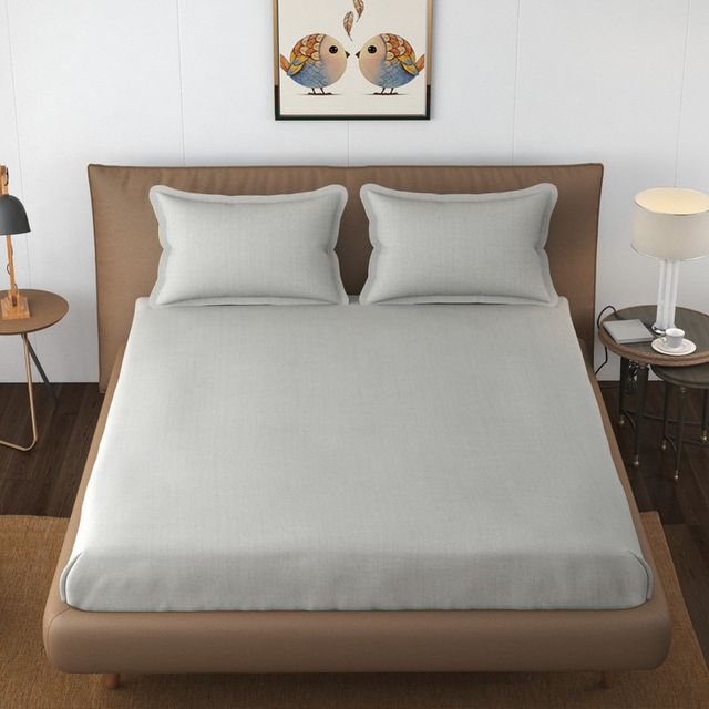 Florida Shades Plain Cotto King Size Bedsheet for Double Bed and 2 King Size Pillow Covers 300 TC