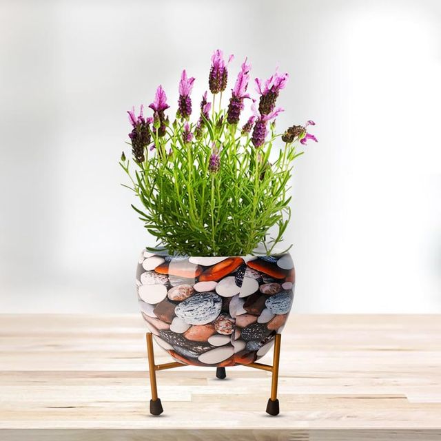 Peng Essentials Reva Home Decor Vase With Stand I Desktop/Bedroom Corner Table/Home Decor Centepie
