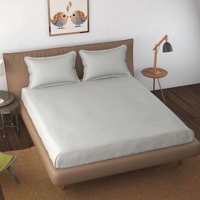 Florida Shades Plain Cotto King Size Bedsheet for Double Bed and 2 King Size Pillow Covers 300 TC