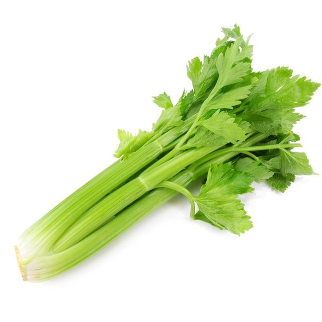 Hydroponic Celery