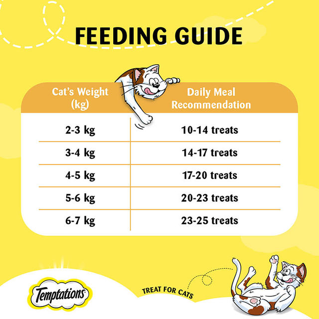 Temptations Adult Tasty Chicken Flavour Cat Treats