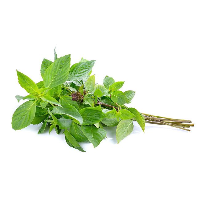 Thai Sweet Basil