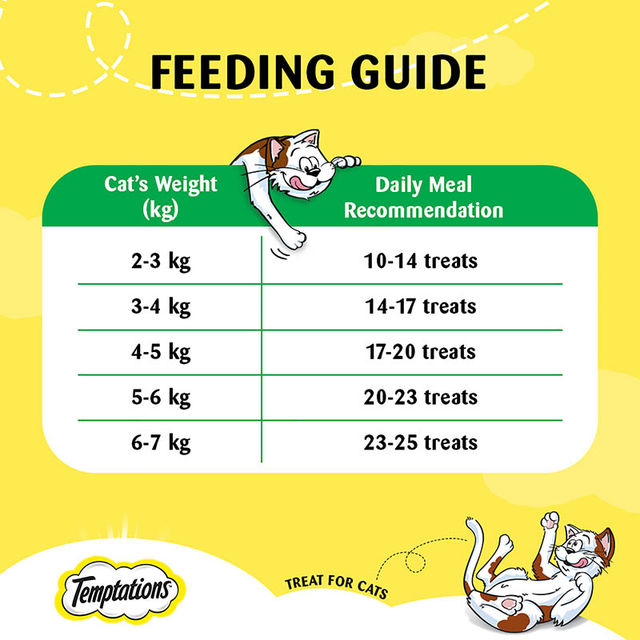 Temptations Adult Seafood Medley Flavour Cat Treats