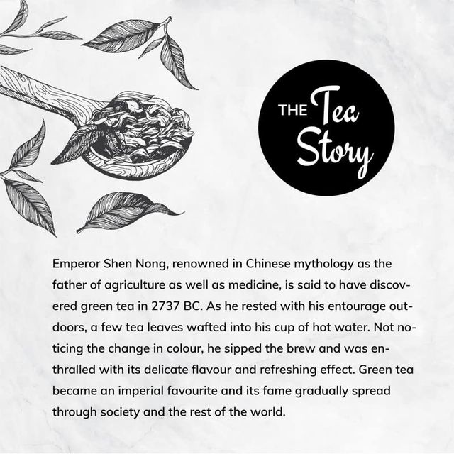 Tea Culture of The World Moroccan Mint Green Tea