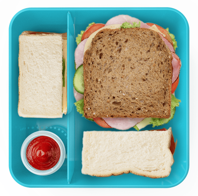 All Time Salad Lunch Box With Dip Container | 1450 ml (Colour May Vary)