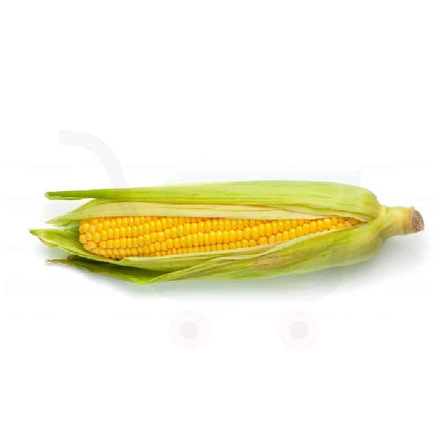 e45f1bf2-3ae5-4a74-85ce-e315bd30b991.jpeg