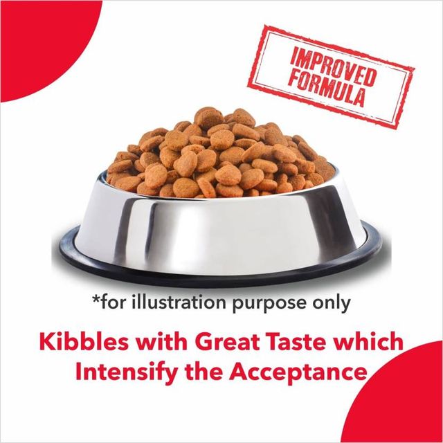Active Adult Chicken And Vegetables Dry Dog Food