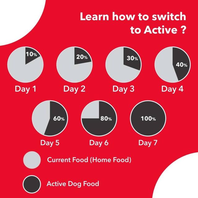 Active Adult Chicken And Vegetables Dry Dog Food