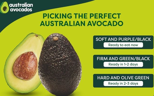 Australian Avocado