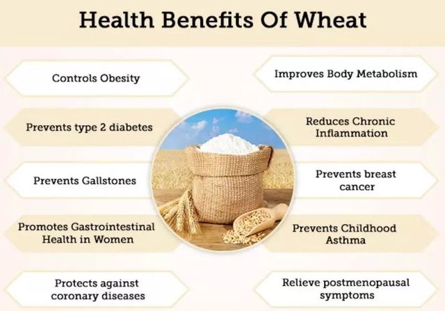 Miracle Regular Lokwan Wheat