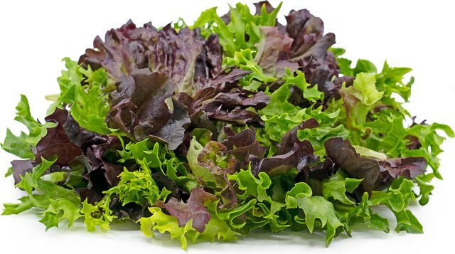 Lettuce Mix