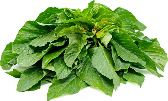 Green Amaranthus/Thotakura - Cleaned, without roots 200 g Combo