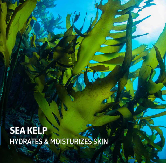Phy Vitamin Sea Energizing Body Wash