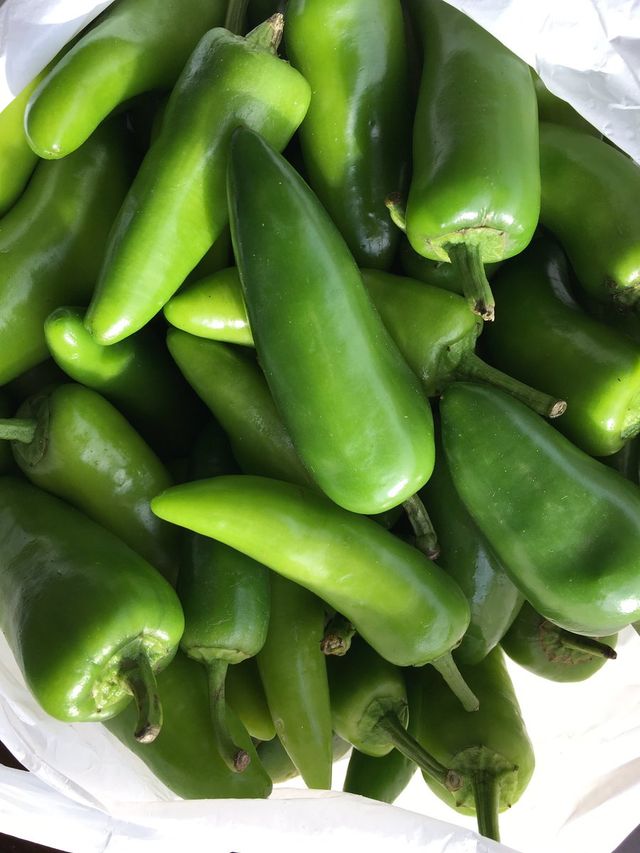 Bullet chilli