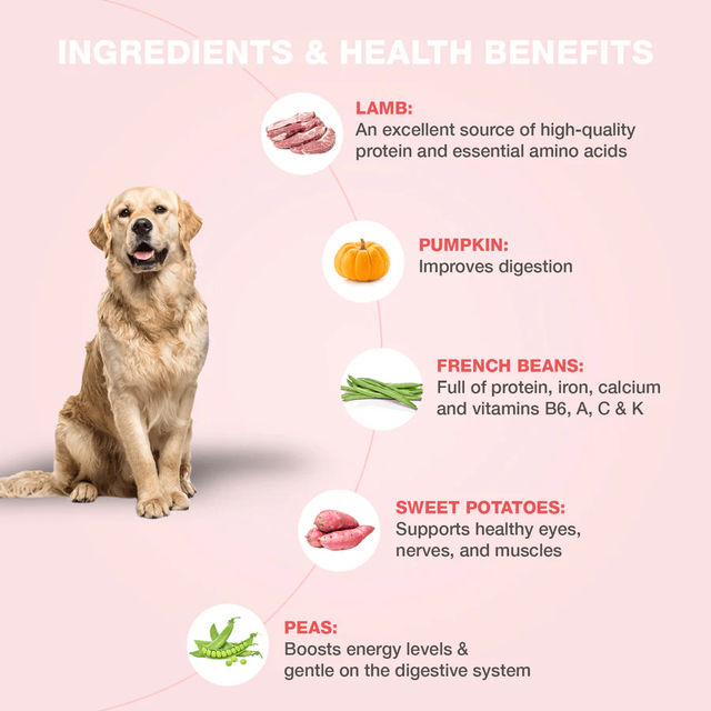 Benny's Bowl Fresh & Wet Dog FOOD - Lamb And French Beans
