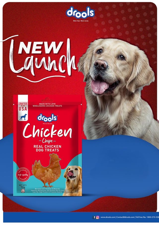 Drools Chicken Chips Dog Treats | Best For Training & Bonding | For Puppy & Adult