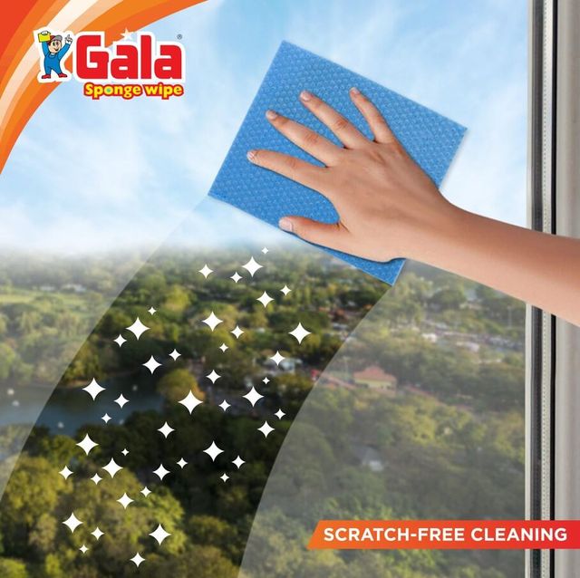 Gala Steel Scrubber Cleaner Home Everyday Scrub(1pc) & Sponge Wipe 3Pcs Set(1pc) Combo