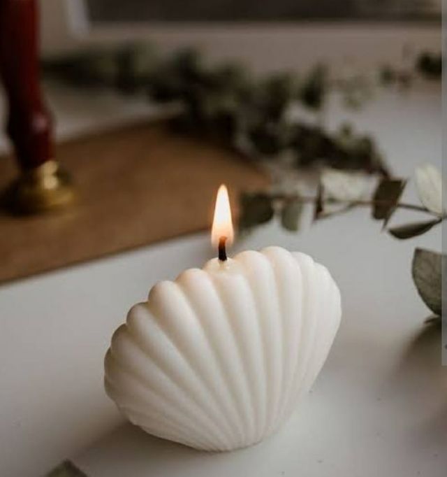 Hola Candles Mini Shell Candle - Assorted Colours | Citrus Sage Infinite