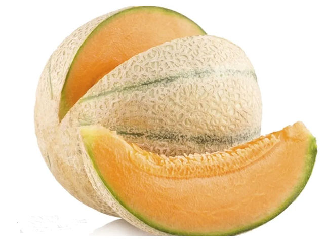 Melody Melon