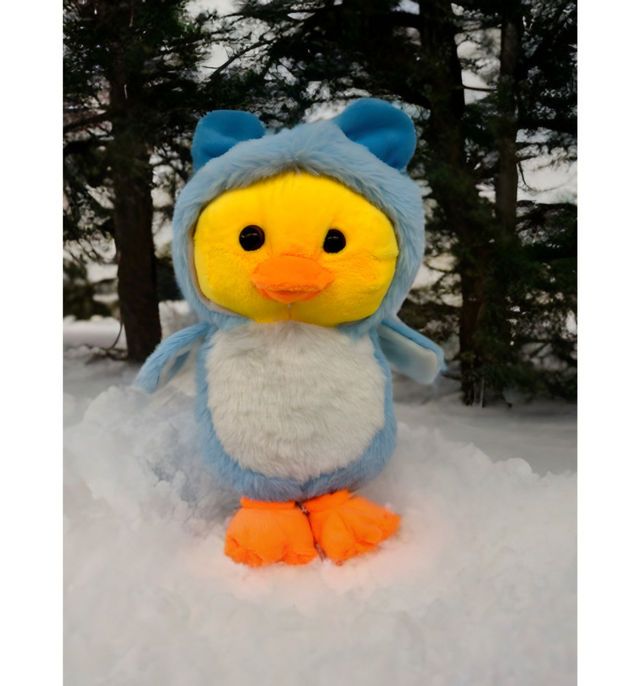 7a8ffe23-7207-4c30-a3dc-0397edcf42bb.jpeg