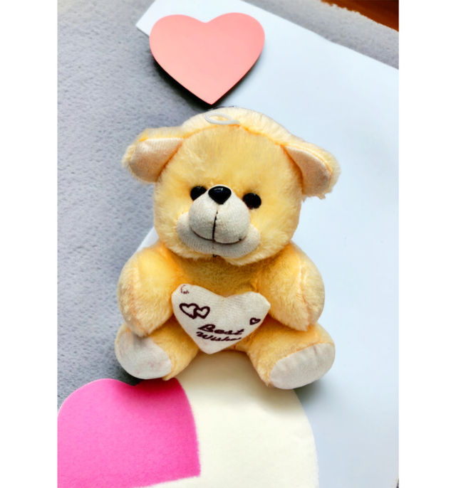 Tomuncle Romantic Cute Teddy  - Assorted
