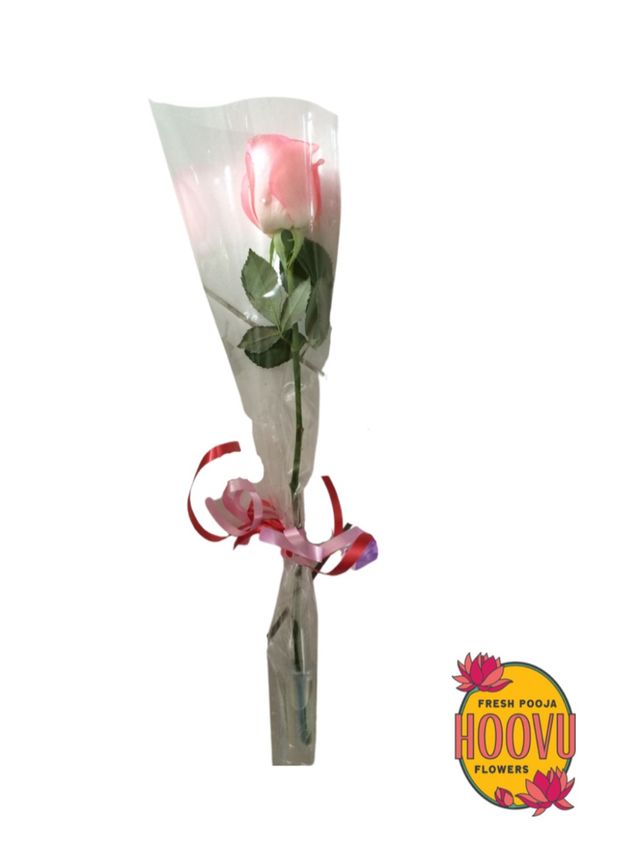 Hoovu Fresh Pink Rose