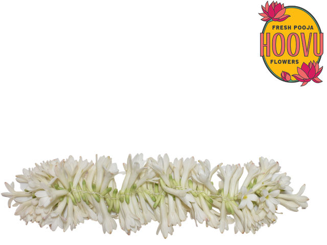 Rajnigandha Flower String