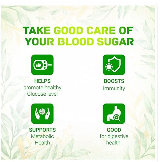 Dabur Jamun Neem Karela Ayurvedic Juice