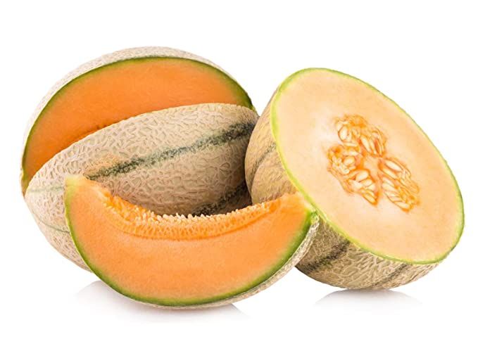 Muskmelon Kanpur