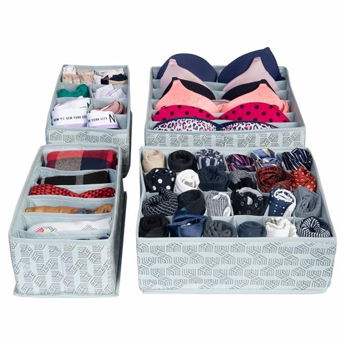 Homestrap Set Of 4 Foldable Storage Undergarment Organizer