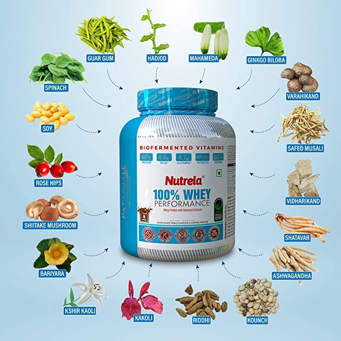 Patanjali Nutrela 100% Whey Performance