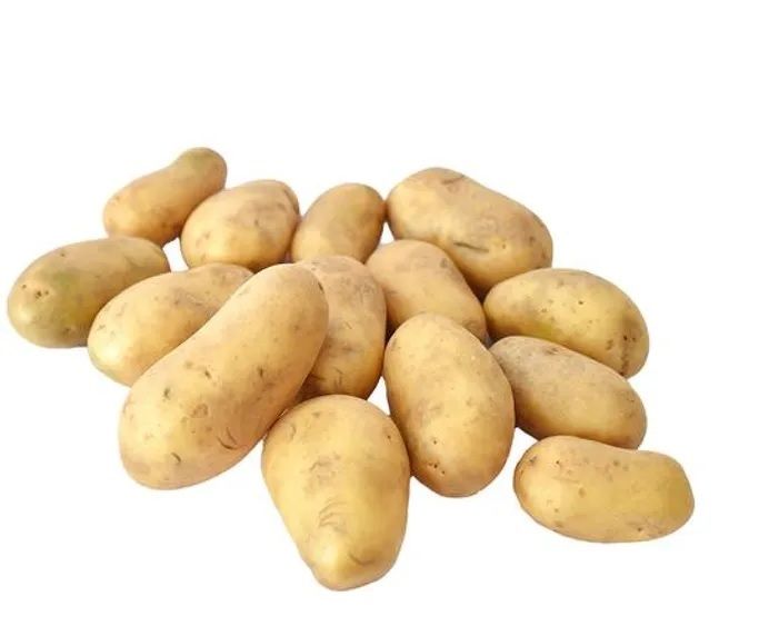 Potato Carisma 