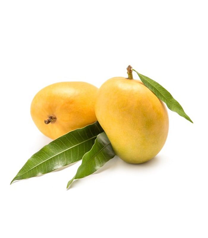 Mango Salem Bangalora
