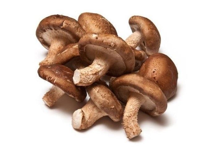 Mushroom Shitake