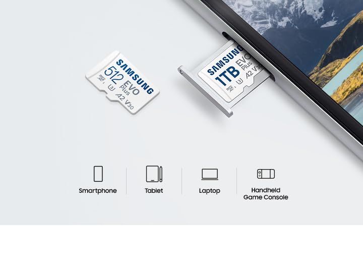 Samsung Evo Plus 256Gb Memory Card, Mb-Mc256Sa, In