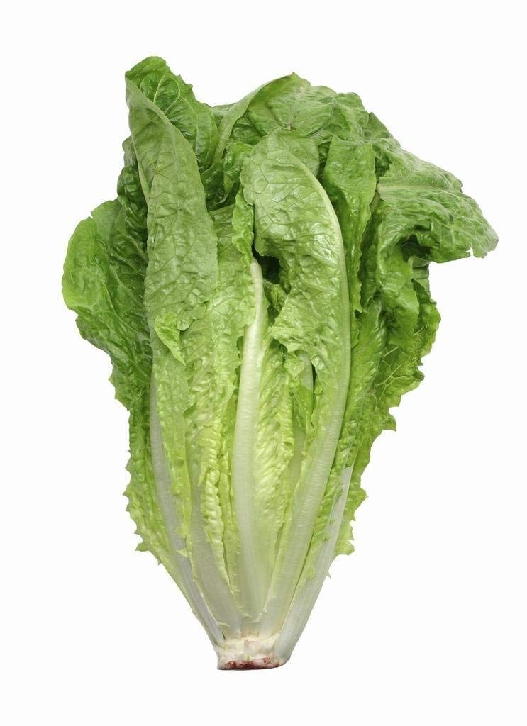 Lettuce Romaine