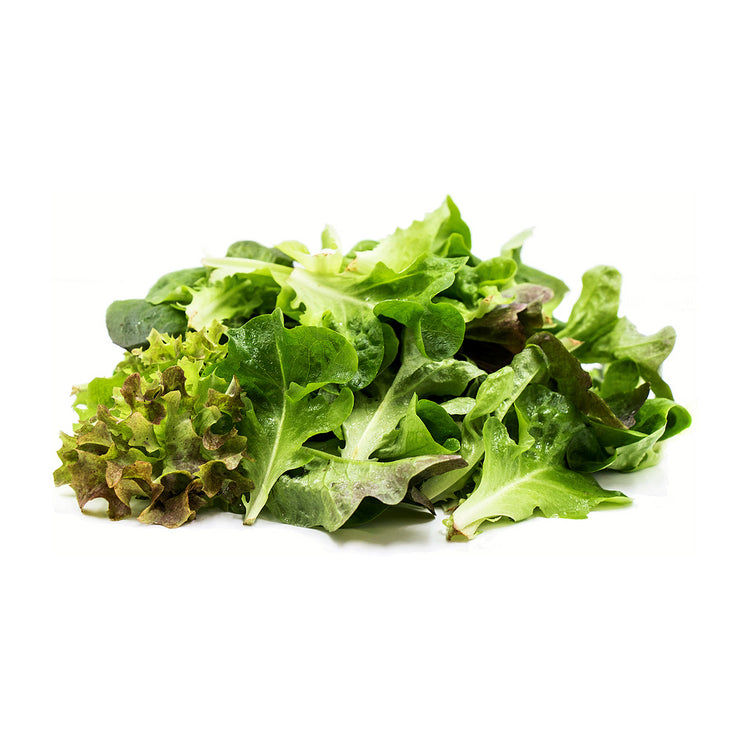 Hydroponic Lettuce Mix