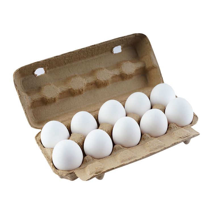 Lifelong Egg Boiler 360-Watt (Transparent And Silver Grey)(1pc) & Relish White Eggs(10pc) Combo