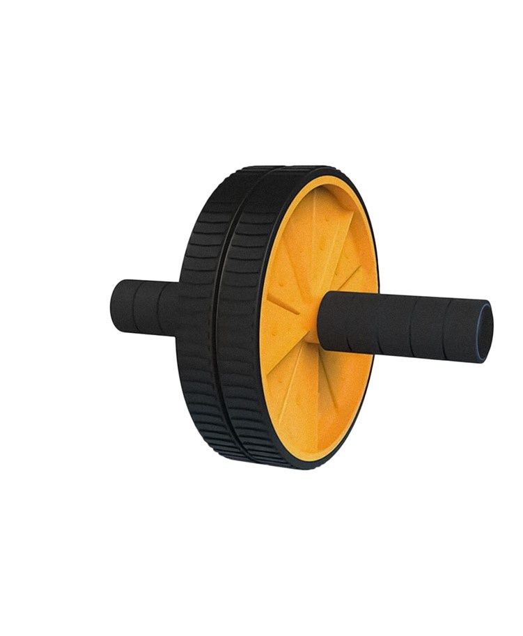 SLOVIC Double Wheel Ab Roller Gym for Exercise Fitness Equipment Ab Exerciser with Mat