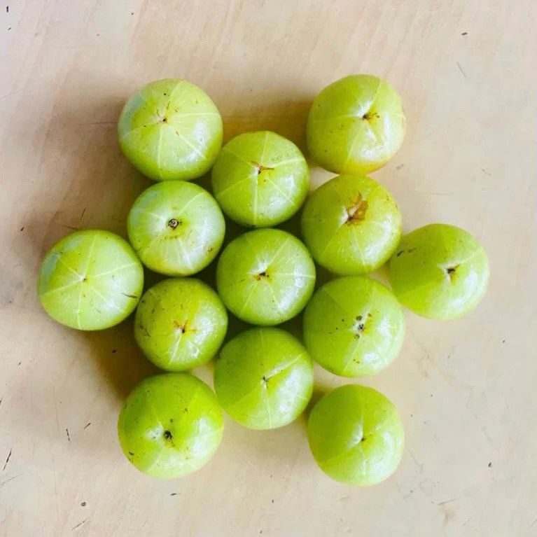Gooseberry (Amla)