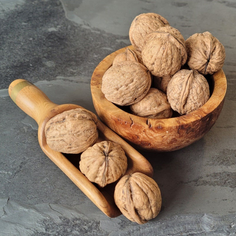 Nutritious Walnut Inshell