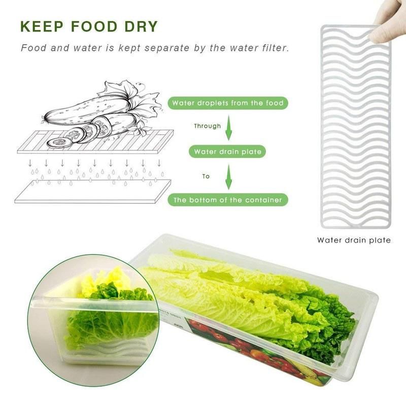 New Dawn Set Of 4 Food Container Freeze Storage Box Container -Versatile & Durable Fridge Organiser