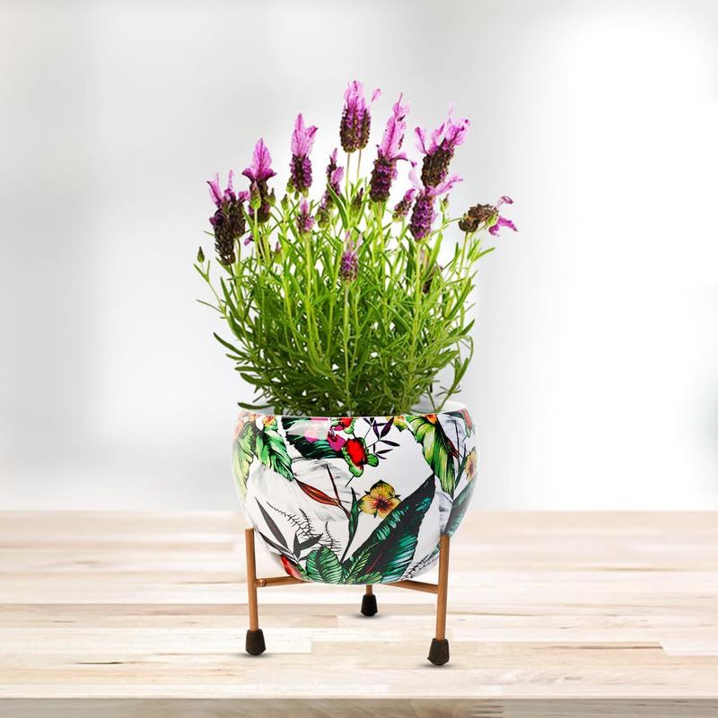 Peng Essentials Reva Home Dcor Vase With Stand I Desktop/Bedroom Corner Table/Home Decor Centepiec