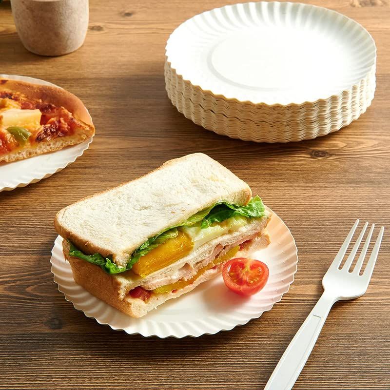 Vinay Trading Disposable Paper Plates - 10 Inches