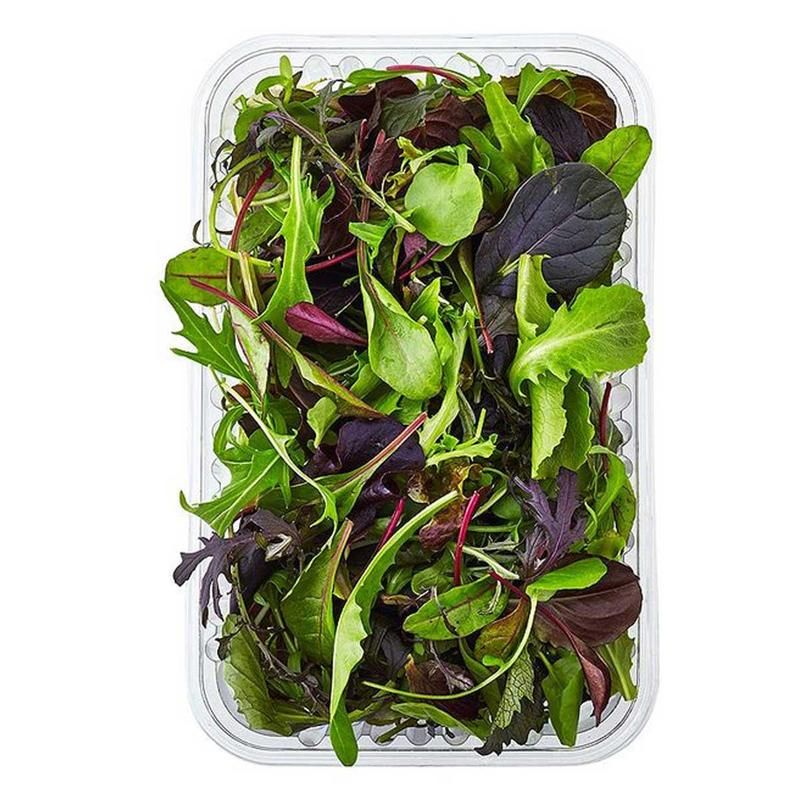 Mix Leafy Box